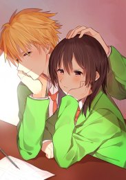 Президент – горничная!, Сезон 1